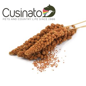 Cusinato Spighe di Panico Rosso FRANCESE