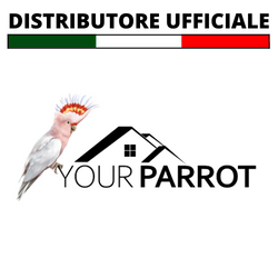 Your Parrot