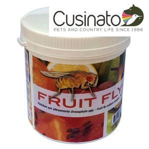 L.O.R. Fruit Fly