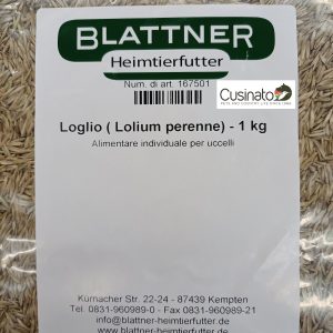 Blattner Loietto Lolium Perenne