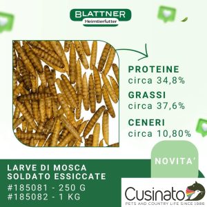 Blattner Larve di mosca soldato essiccate Hermetia