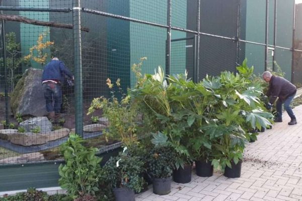 planting-aviaries1-1024x498