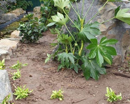 planting-aviaries2-q2kt1rhr94wbdnql783c7ysl80tzif64v76k43mwr0