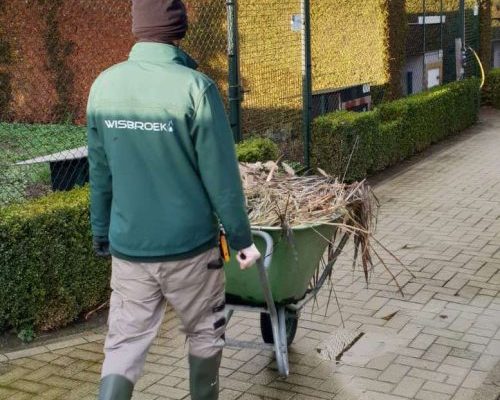 wisbroek-wattled-cranes-nest-material-7a-q2kt16tb2s3q1xwhdxtbfk3fymft64wg5m2yjj8314