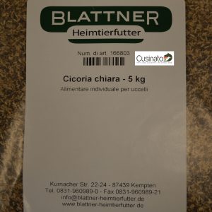 Blattner Cicoria Chiara