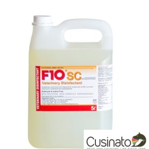 F10 - Disinfettante con Protezione Antiruggine