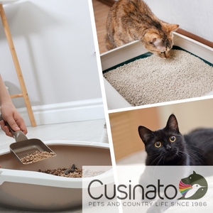 Lettiere, Toilettes e Igiene